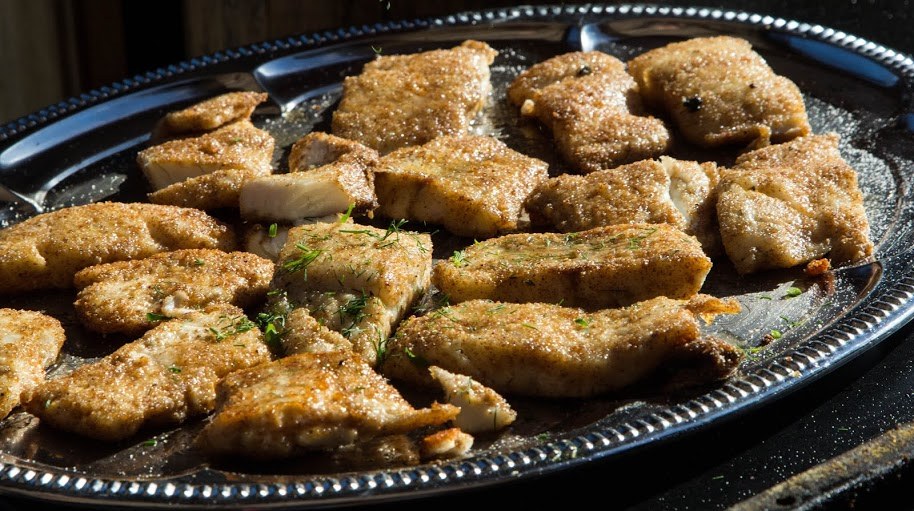 Admiralimaja galerii