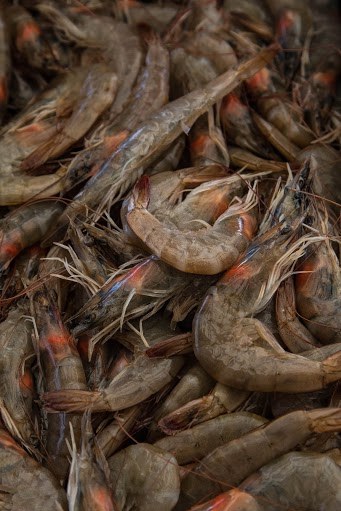 Admiralimaja galerii